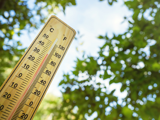 Canicule, chaleur, thermomètre
