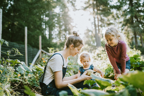 Parent avec ses deux enfants dans un potager